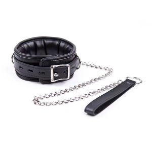 Leash and Collar